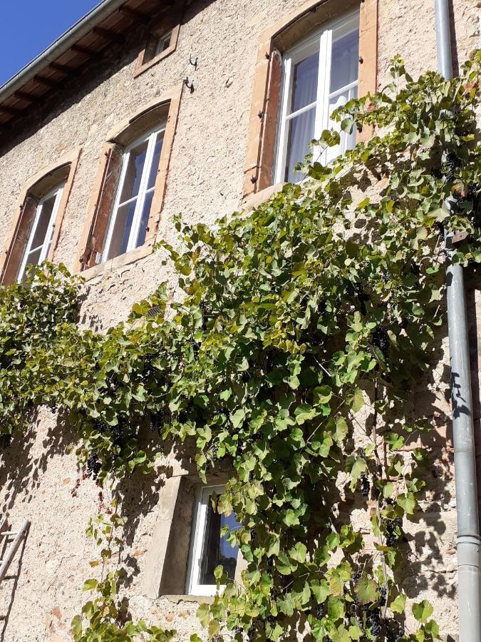 La Grange Aux Oiseaux Apartment Arnaville ภายนอก รูปภาพ